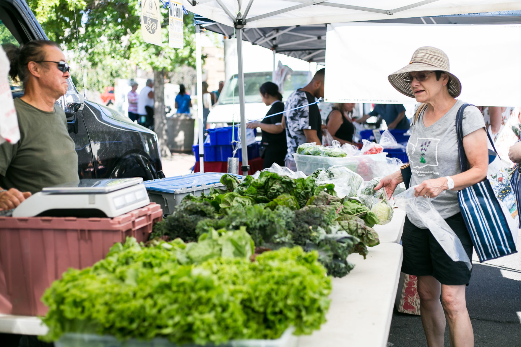 Calendar: Activities this week in Yakima